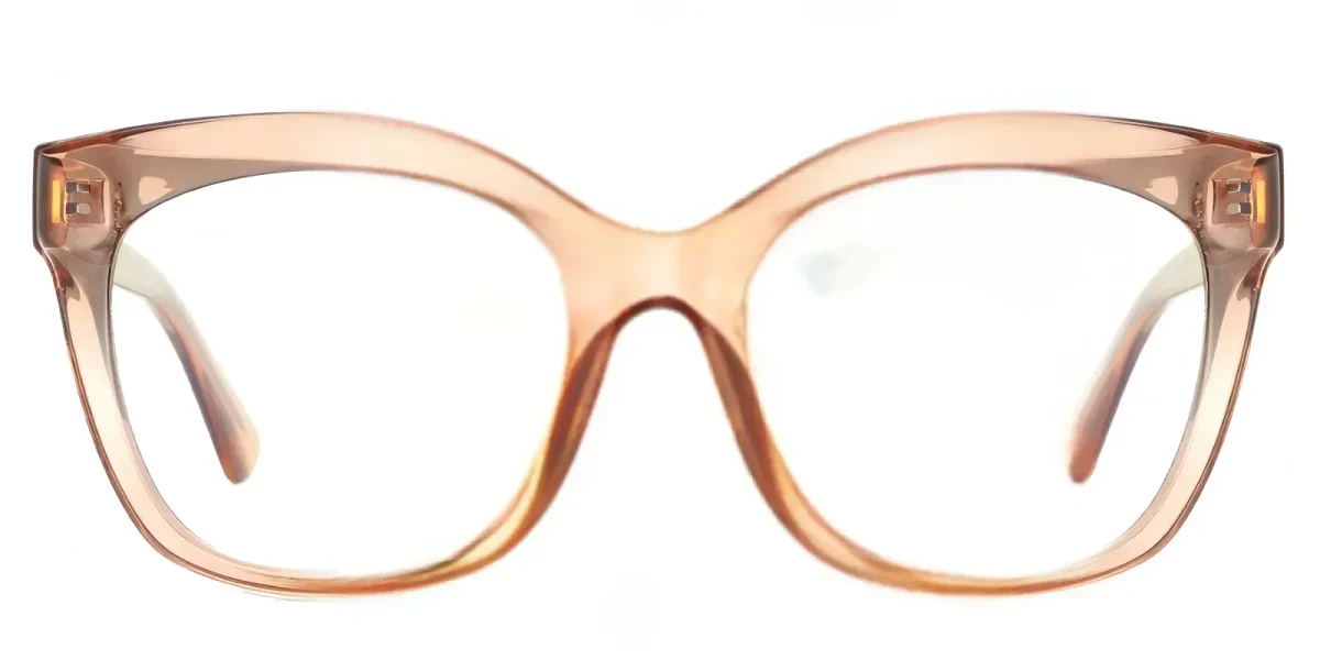 PF2101 Transparent-Brown Glasses 0