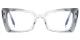 PF2164 Transparent-Gray glasses