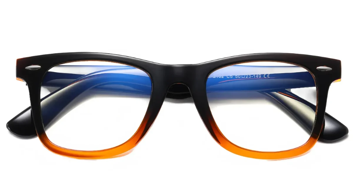 PF2102 Black-Brown Glasses 0
