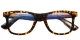 PF2102 Hawksbill glasses