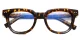 PF2120 Hawksbill glasses