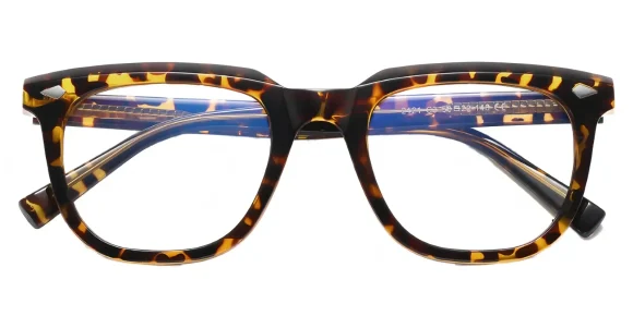 PF2121 Hawksbill eyeglass frame
