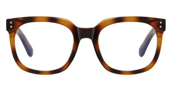 PF2124 Hawksbill eyeglass frame