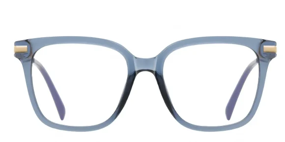 PF2129 Bule eyeglass frame