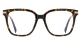 PF2129 Hawksbill glasses
