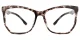 Ainslie Tortoise glasses 3