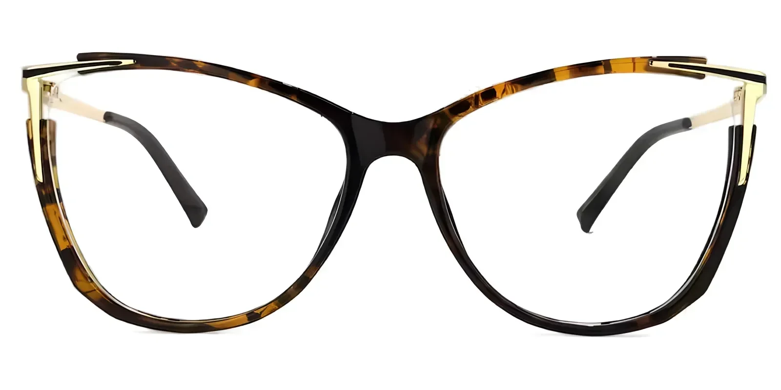 Bessie Tortoise eyeglass frame