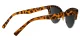 Dalila Tortoise-T Glasses 3