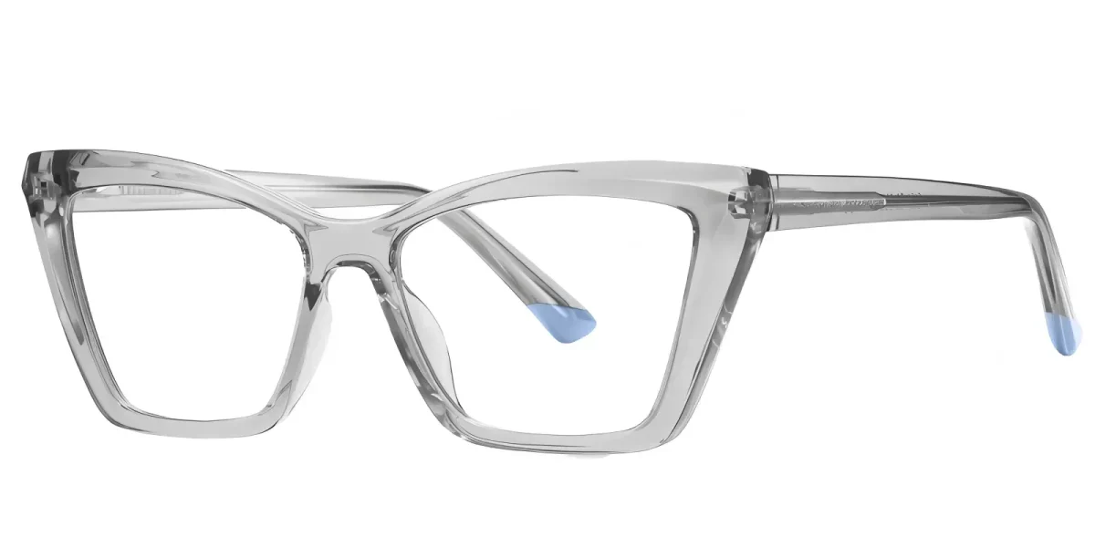 PF2151 Grey Glasses 1