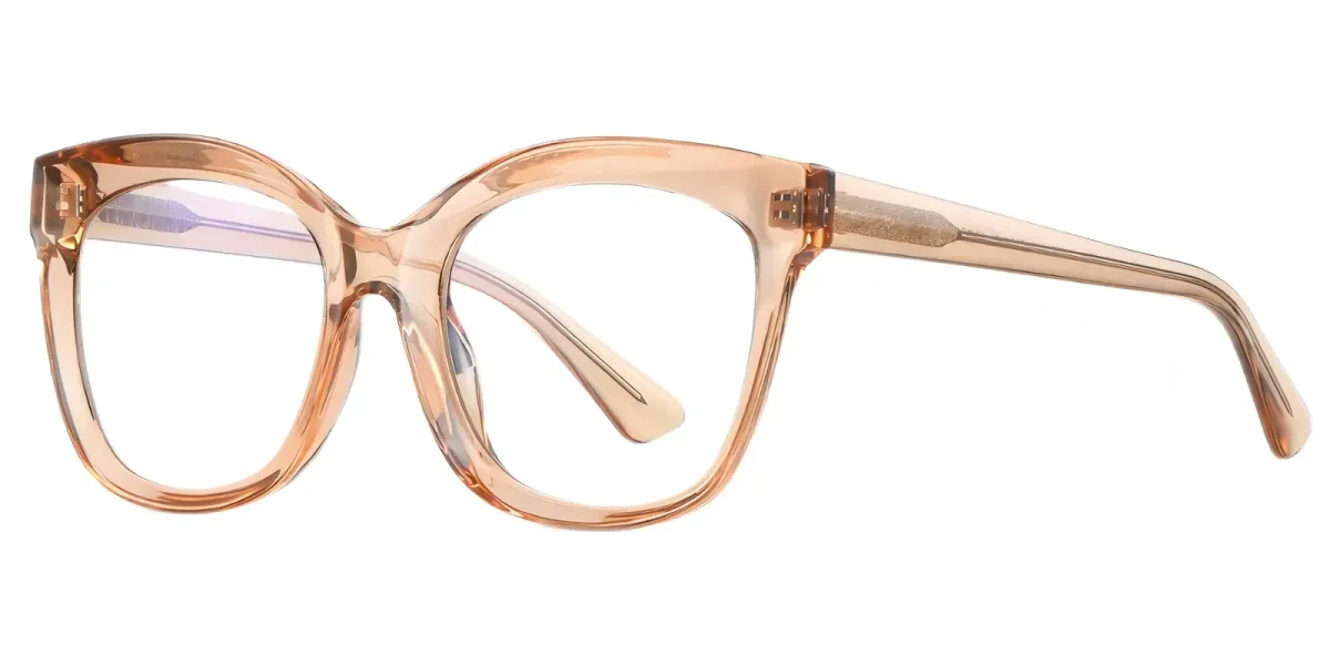 PF2101 Transparent-Brown Glasses 1