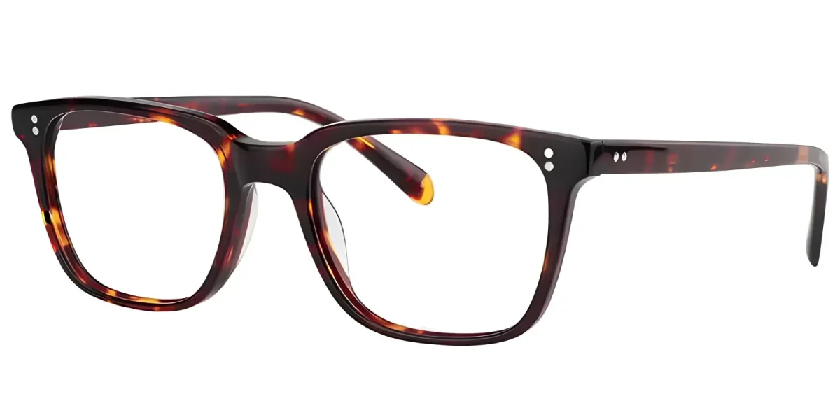 Reina Tortoise Glasses 1
