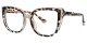 Sanchez Tortoise Glasses 1