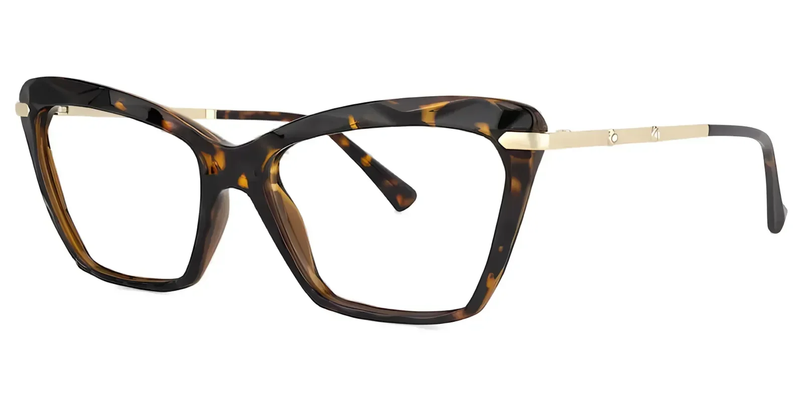 Libby Tortoise glasses 2