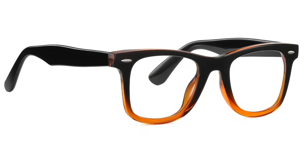 PF2102 Black-Brown Glasses 2