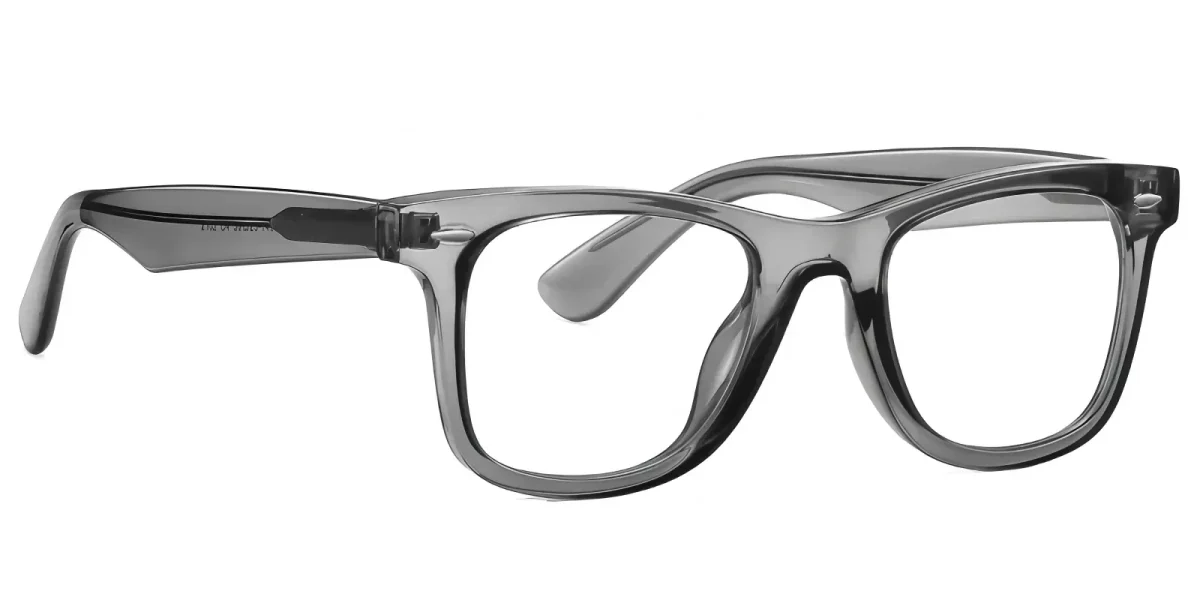 PF2102 Grey Glasses 2