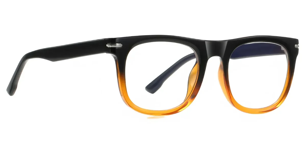 PF2200 Black-Brown Glasses 2