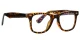 PF2102 Hawksbill Glasses 2