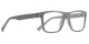 PF2100 Gray Glasses 2