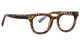PF2120 Hawksbill Glasses 2