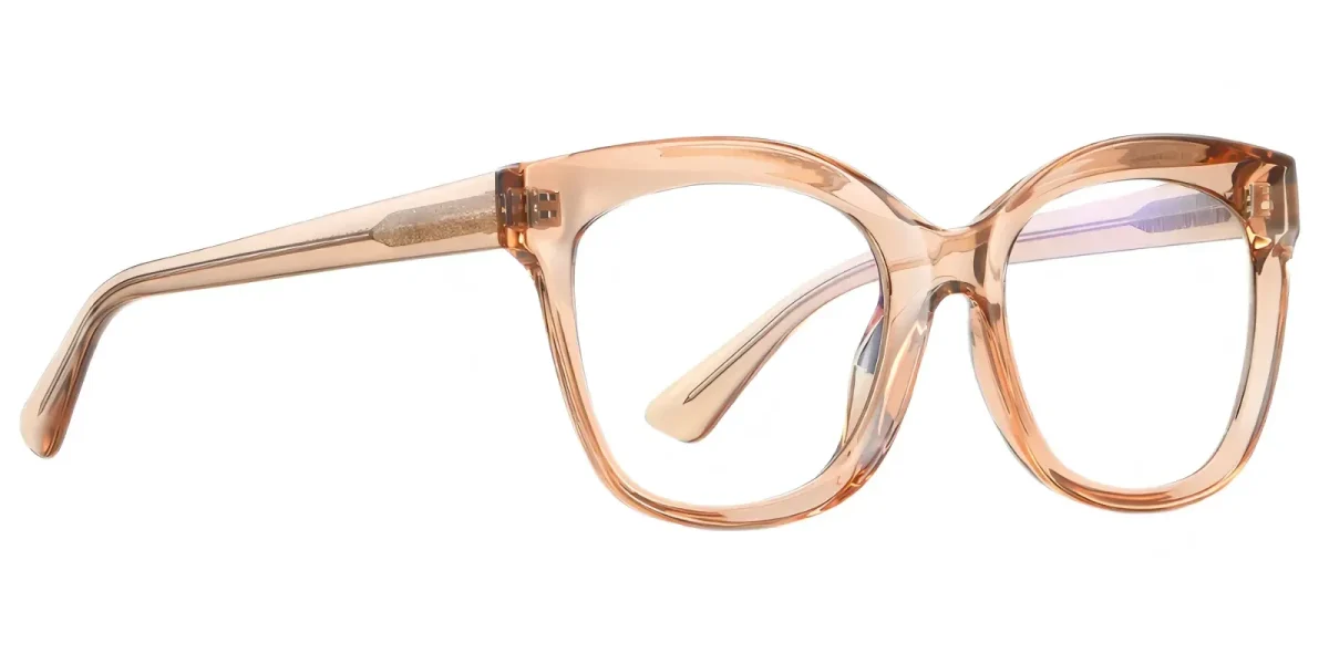 PF2101 Transparent-Brown Glasses 2