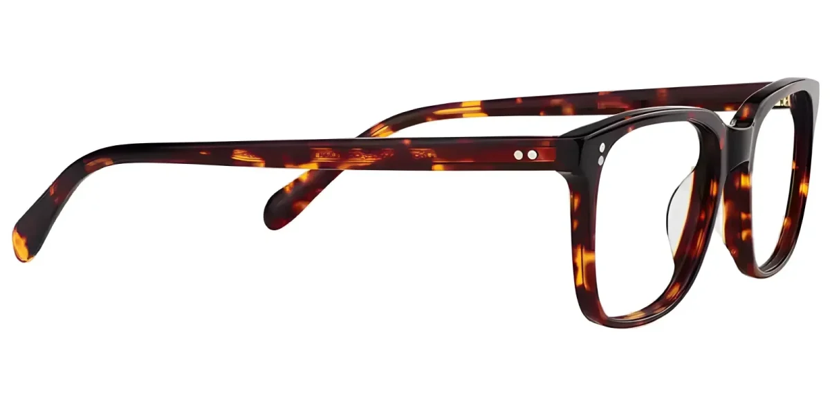 Reina Tortoise Glasses 2