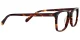 Reina Tortoise Glasses 2