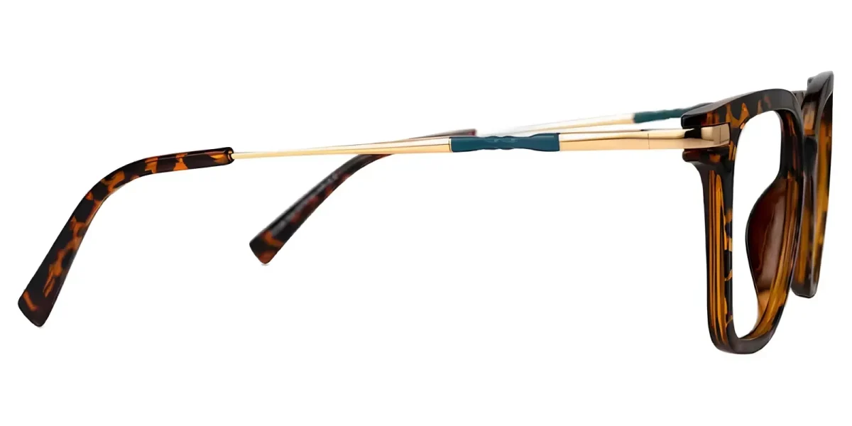 Terrie Tortoise Glasses 2