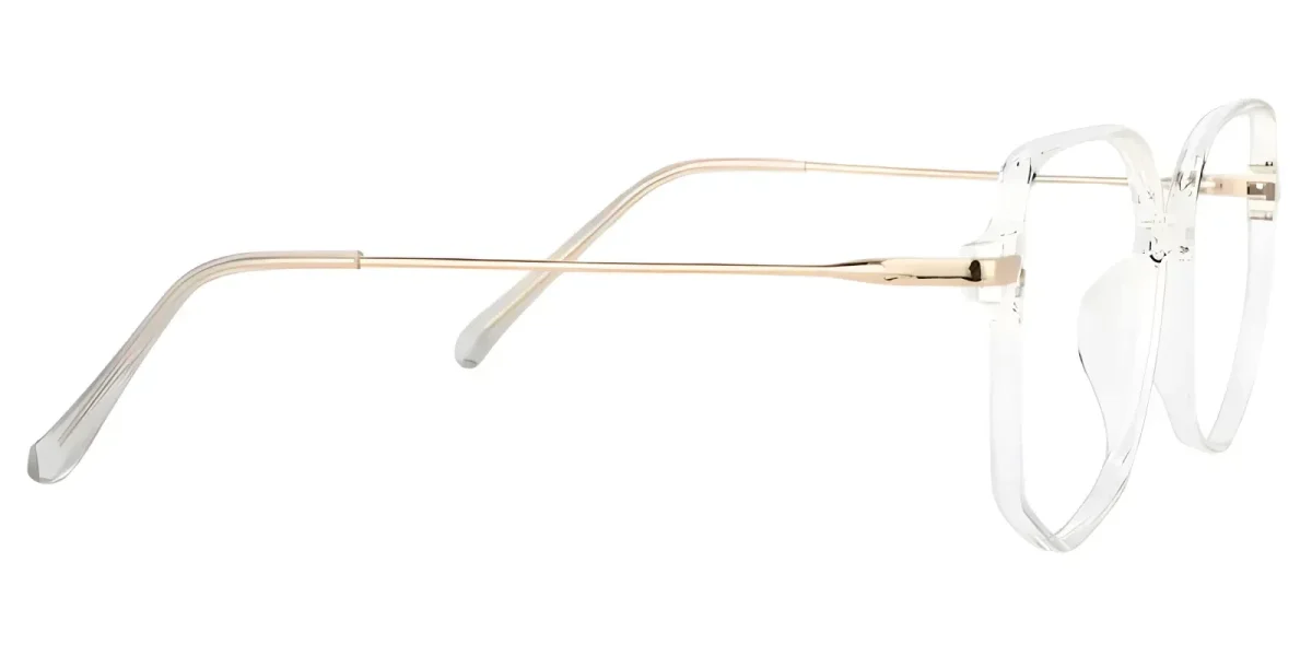 Veromca Crystal Glasses 2