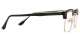 Dardhan Black-Gold Glasses 2
