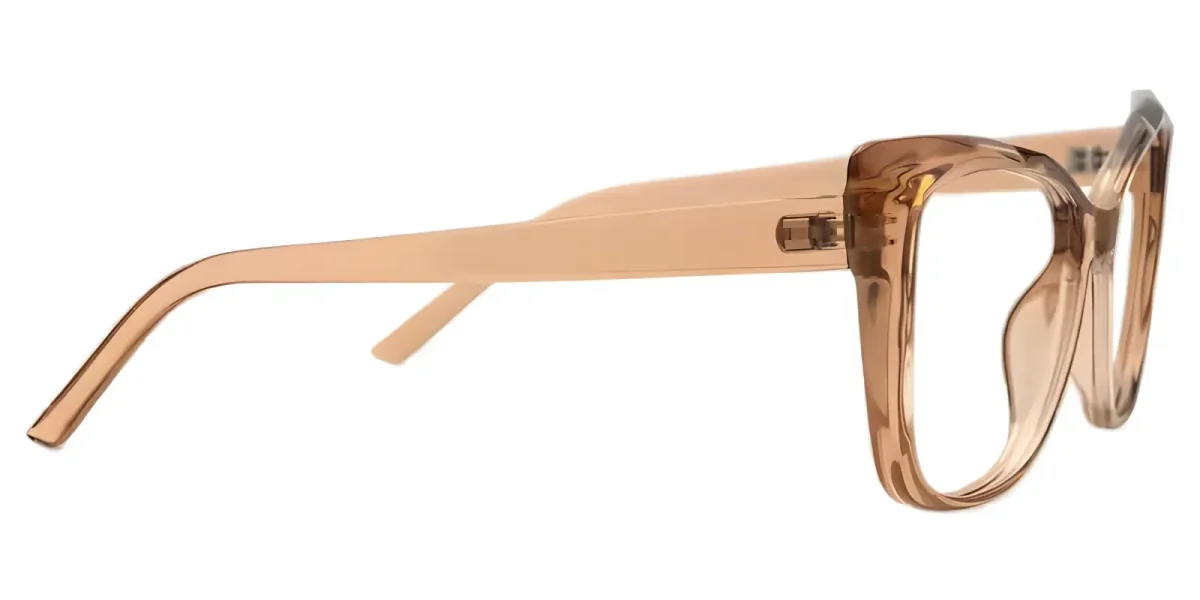 Janina Brown Glasses 2