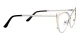 Sydney Silver Glasses 2