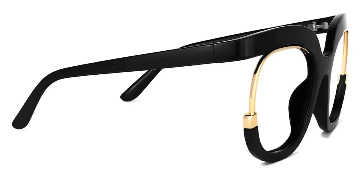 Carmine Black Glasses 2