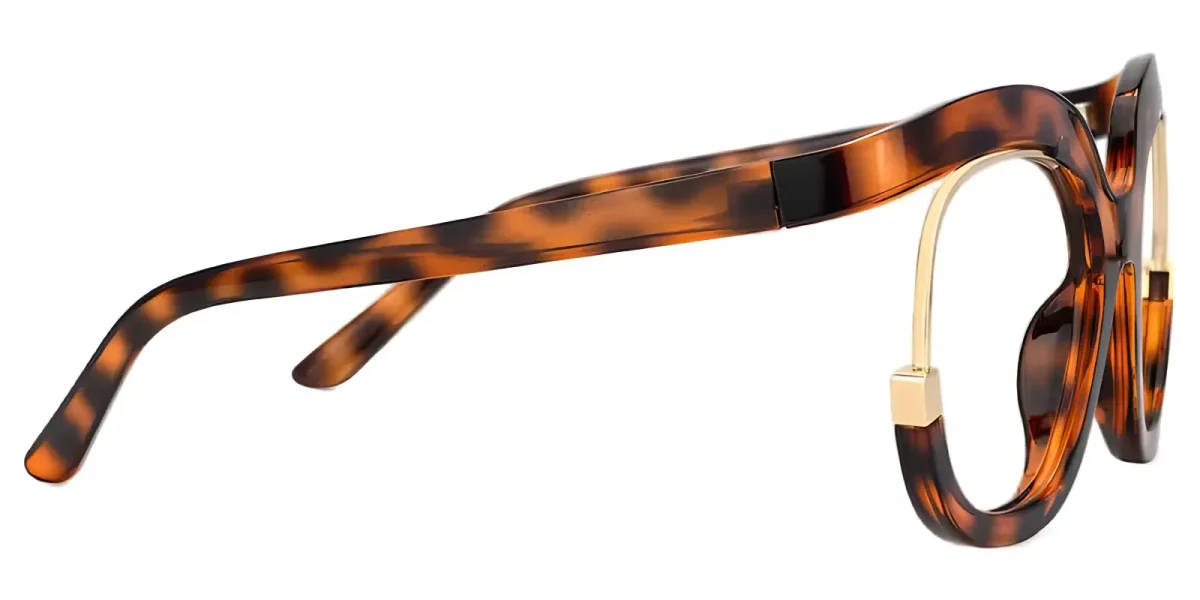 Carmine Tortoise Glasses 2