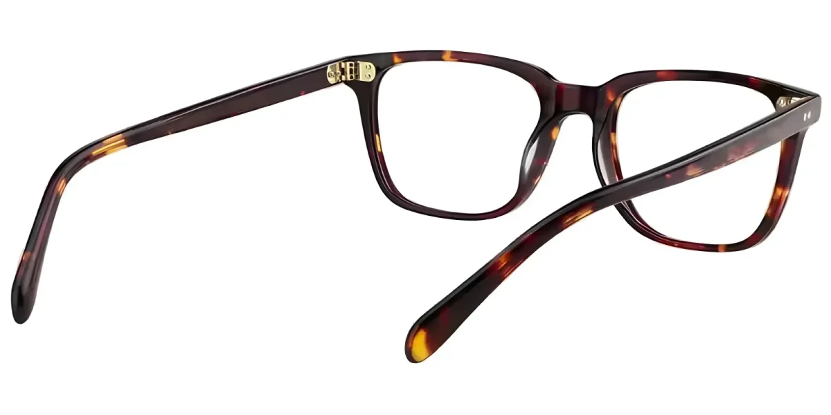 Reina Tortoise Glasses 3