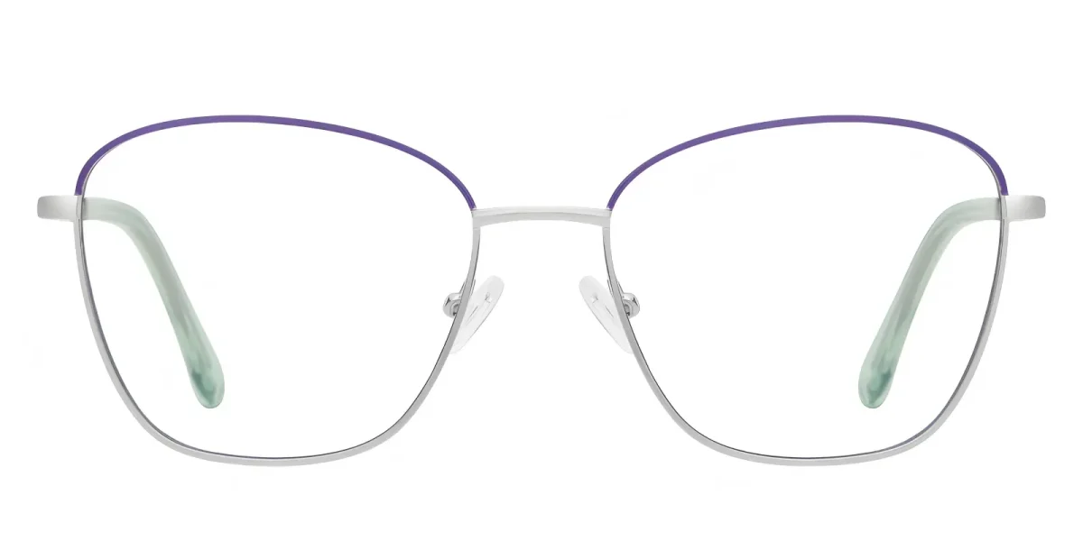 PF3055 Silver-Purple Glasses 0