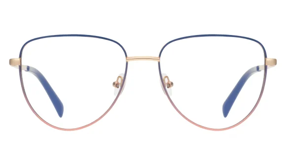 PF3094 Blue-Pink eyeglass frame