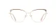 PF3117 Brown glasses