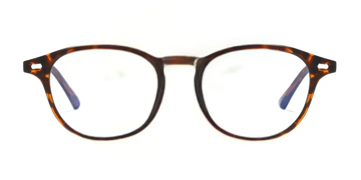PF5004 Hawksbill Glasses 0