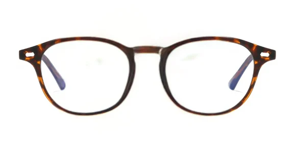 PF5004 Hawksbill eyeglass frame