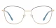 PF3055 Gold-Black glasses