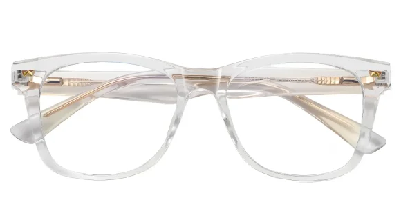 Arale Transparent eyeglass frame