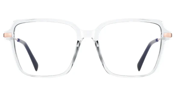 PF2212 Transparent eyeglass frame