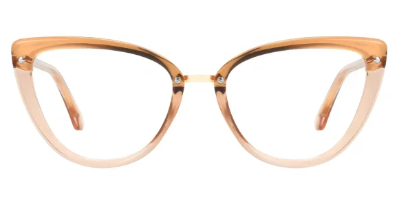 PF2221 Brown eyeglass frame