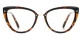 PF2221 Hawksbill glasses