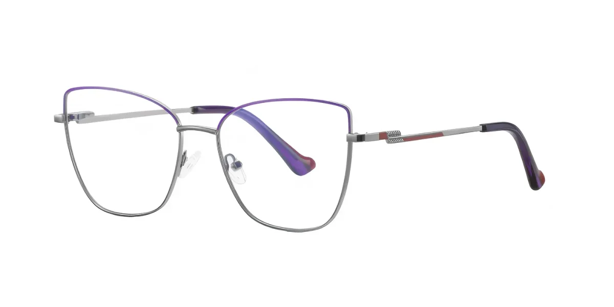 PF3056 Purple-Silver Glasses 1