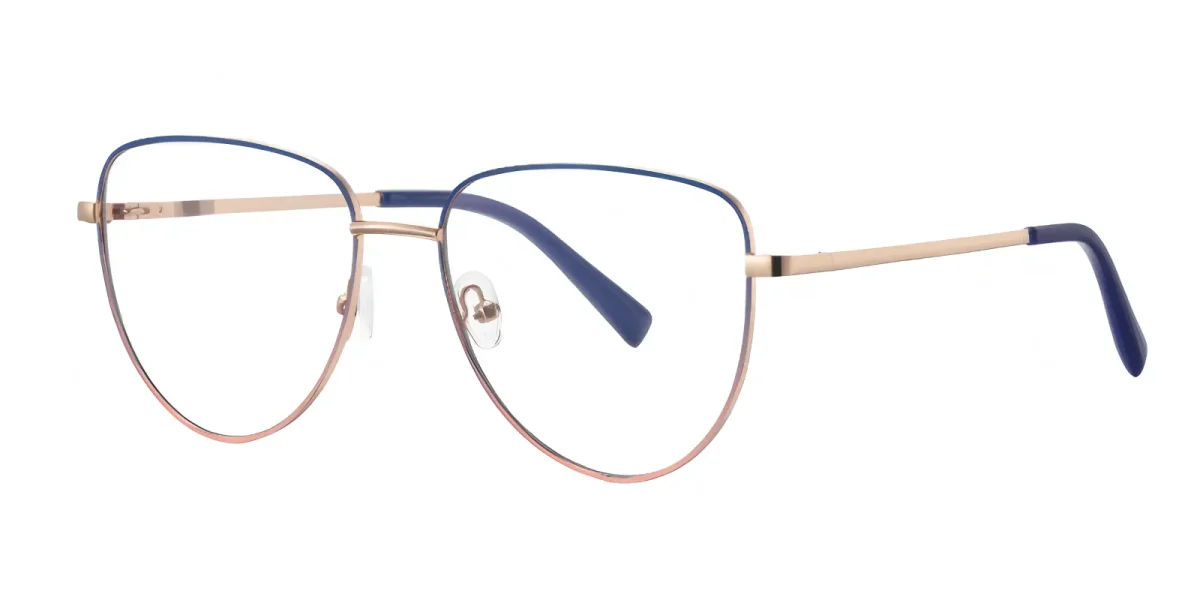 PF3094 Blue-Pink Glasses 1