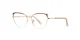 PF3117 Brown Glasses 1