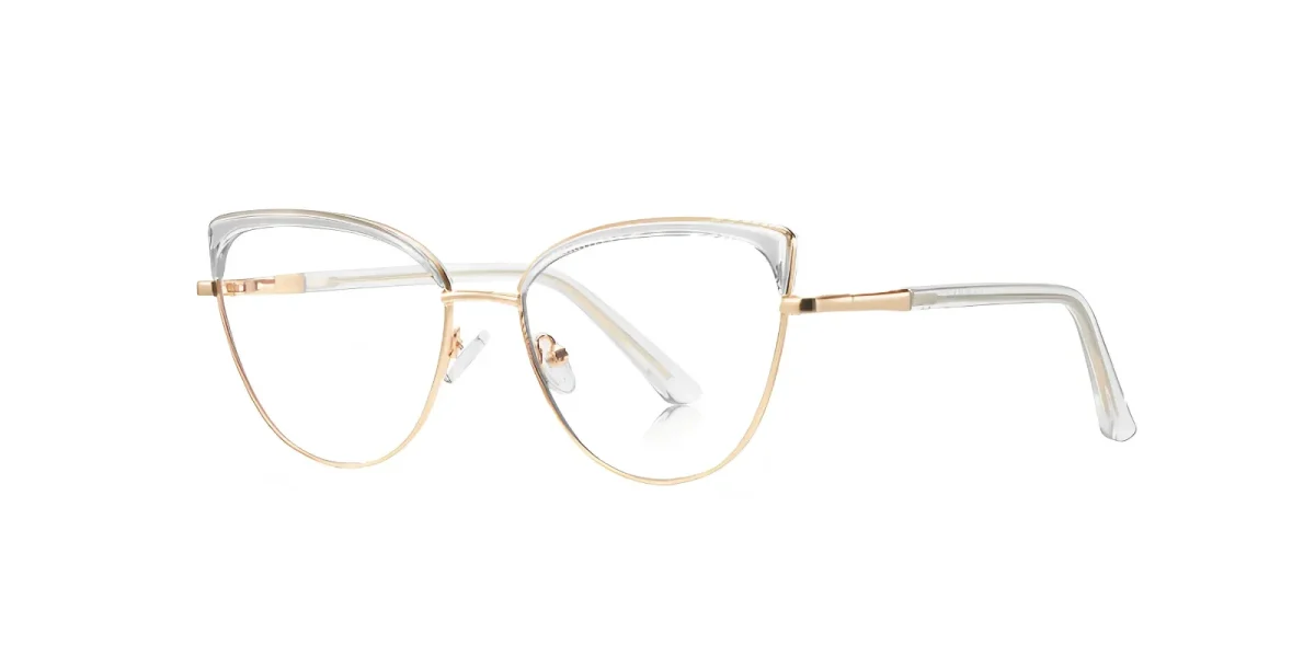 PF3117 Transparent Glasses 1