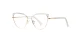 PF3117 Transparent Glasses 1
