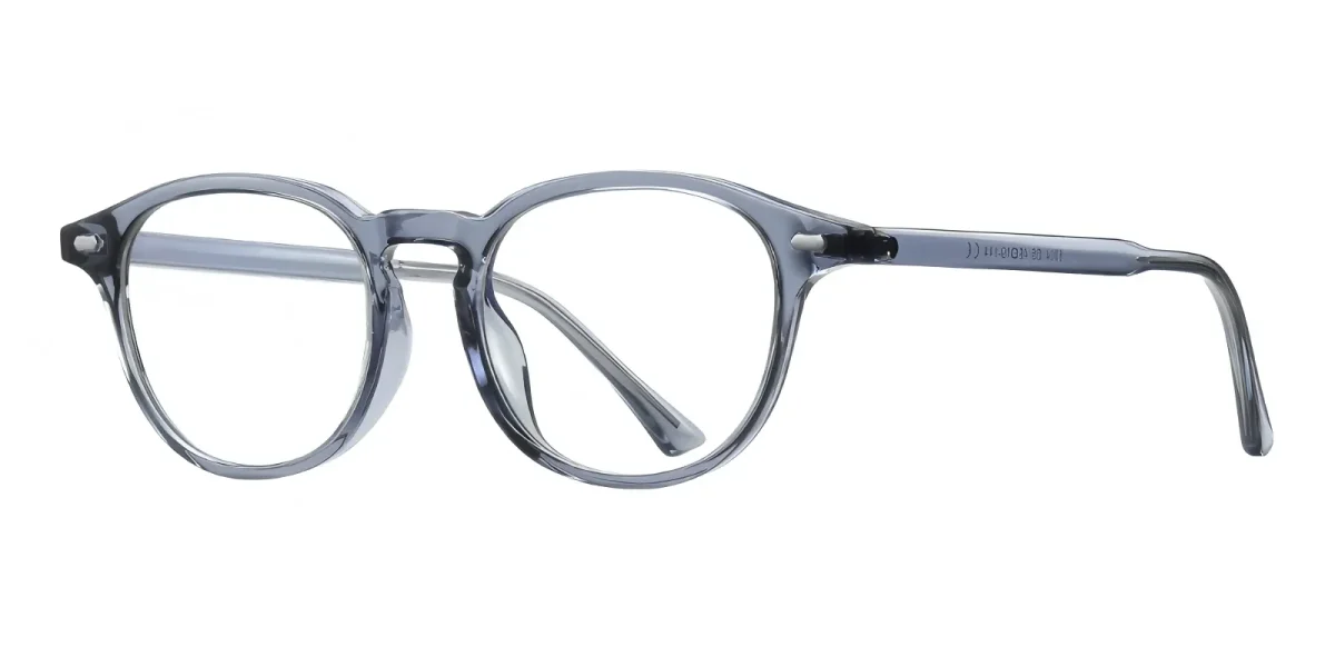 PF5004 Transparent-Gray-Blue Glasses 1